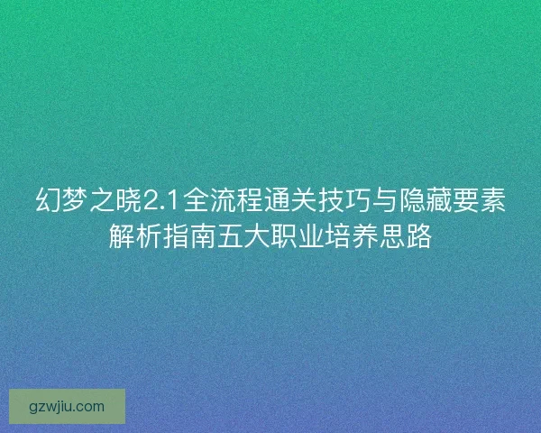 幻梦之晓2.1全流程通关技巧与隐藏要素解析指南五大职业培养思路