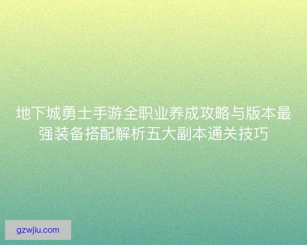 地下城勇士手游全职业养成攻略与版本最强装备搭配解析五大副本通关技巧